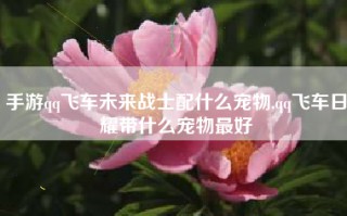 手游qq飞车未来战士配什么宠物,qq飞车日耀带什么宠物最好