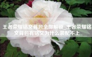 王者荣耀铭文背包全部解锁_王者荣耀铭文背包有铭文为什么装配不上