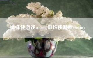 蜘蛛侠游戏steam(蜘蛛侠游戏steam)