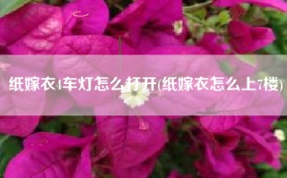 纸嫁衣4车灯怎么打开(纸嫁衣怎么上7楼)