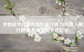 梦想新大陆都有哪些排行榜 如何进入排行榜(梦想新大陆平民职业)