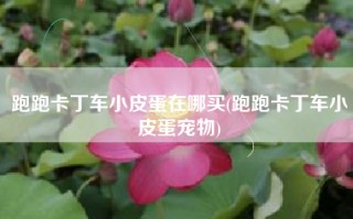 跑跑卡丁车小皮蛋在哪买(跑跑卡丁车小皮蛋宠物)