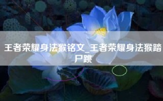 王者荣耀身法猴铭文_王者荣耀身法猴踏尸跳