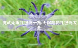 魔武无限礼包码一览(无限跑酷礼包码大全)