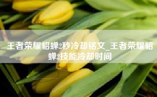 王者荣耀貂蝉2秒冷却铭文_王者荣耀貂蝉2技能冷却时间