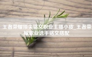 王者荣耀顶尖铭文职业主播小皮_王者荣耀职业选手铭文搭配