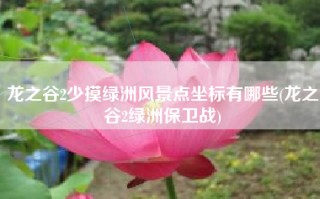 龙之谷2少摸绿洲风景点坐标有哪些(龙之谷2绿洲保卫战)
