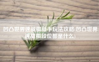 凹凸世界速战棋新手玩法攻略(凹凸世界速战棋段位都是什么)