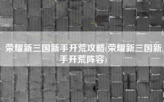荣耀新三国新手开荒攻略(荣耀新三国新手开荒阵容)