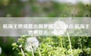 航海王燃烧意志佩罗娜怎么加点(航海王燃烧意志2.0官网)
