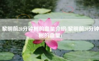 黎明前20分钟树的血量介绍(黎明前20分钟树的血量)