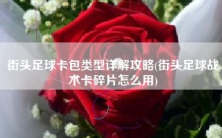 街头足球卡包类型详解攻略(街头足球战术卡碎片怎么用)