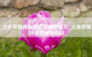 王者荣耀孤影孙悟空暴击铭文_王者荣耀孙悟空星元皮肤