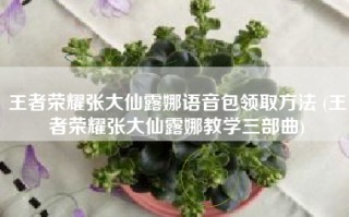 王者荣耀张大仙露娜语音包领取方法 (王者荣耀张大仙露娜教学三部曲)