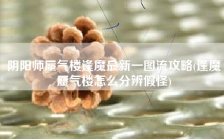 阴阳师蜃气楼逢魔最新一图流攻略(逢魔蜃气楼怎么分辨假怪)