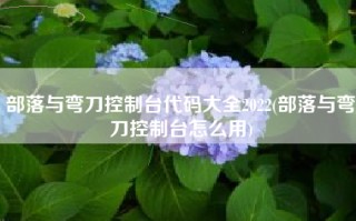 部落与弯刀控制台代码大全2022(部落与弯刀控制台怎么用)
