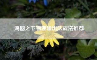 鸿图之下物理输出队战法推荐