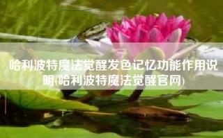 哈利波特魔法觉醒发色记忆功能作用说明(哈利波特魔法觉醒官网)