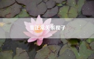 非正常关系楔子
