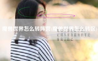 魔兽世界怎么转阵营(魔兽世界怎么转区)