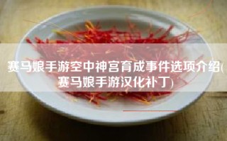 赛马娘手游空中神宫育成事件选项介绍(赛马娘手游汉化补丁)