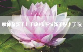 解神者新手上手攻略(原神新手好上手吗)
