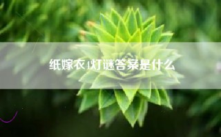 纸嫁衣4灯谜答案是什么
