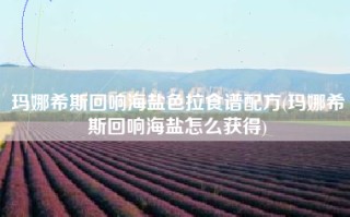 玛娜希斯回响海盐色拉食谱配方(玛娜希斯回响海盐怎么获得)