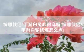 神雕侠侣2手游白兔心得详解(神雕侠侣2手游白驼修炼怎么点)
