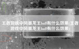 王者游戏中风暴龙王buff有什么效果(王者游戏中风暴龙王buff有什么效果)