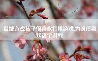 区域游戏孩子很喜欢打枪游戏,为啥很喜欢这个游戏