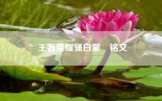 王者荣耀骚白蒙犽铭文