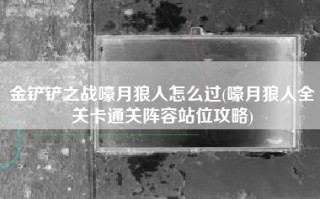 金铲铲之战嚎月狼人怎么过(嚎月狼人全关卡通关阵容站位攻略)