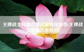 王牌战士风魔忍者天赋选择推荐(王牌战士风魔忍者图片)