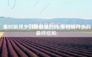 秦时明月少羽是最强的吗(秦时明月少羽最终结局)