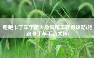 跑跑卡丁车手游大象脚踏车获得攻略(跑跑卡丁车手游大神)