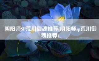 阴阳师SP荒川御魂推荐(阴阳师sp荒川御魂推荐)