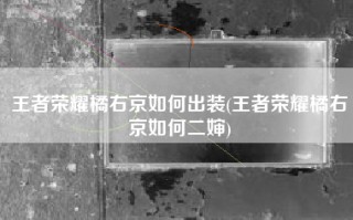 王者荣耀橘右京如何出装(王者荣耀橘右京如何二婶)
