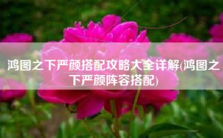 鸿图之下严颜搭配攻略大全详解(鸿图之下严颜阵容搭配)