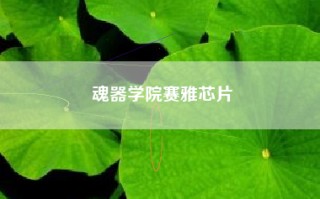 魂器学院赛雅芯片