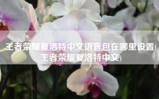 王者荣耀夏洛特中文语音包在哪里设置(王者荣耀夏洛特中文)