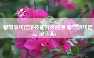 碧蓝航线信浓技能升级顺序(碧蓝航线信浓阵容)