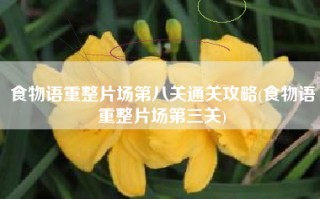 食物语重整片场第八关通关攻略(食物语重整片场第三关)