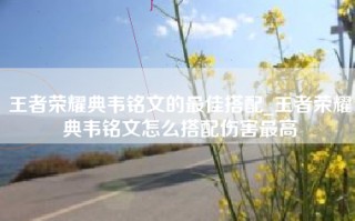 王者荣耀典韦铭文的最佳搭配_王者荣耀典韦铭文怎么搭配伤害最高
