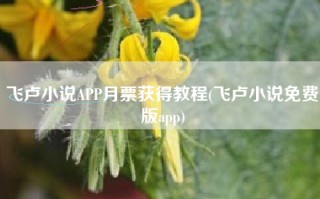 飞卢小说APP月票获得教程(飞卢小说免费版app)