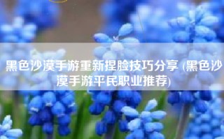 黑色沙漠手游重新捏脸技巧分享 (黑色沙漠手游平民职业推荐)