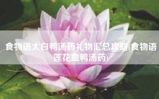 食物语太白鸭汤药礼物汇总攻略(食物语莲花血鸭汤药)