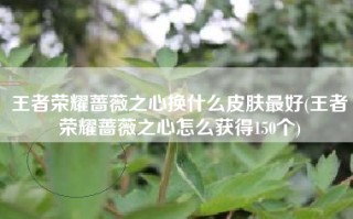 王者荣耀蔷薇之心换什么皮肤最好(王者荣耀蔷薇之心怎么获得150个)