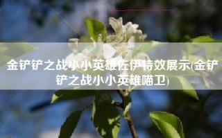 金铲铲之战小小英雄佐伊特效展示(金铲铲之战小小英雄喵卫)