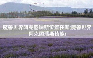魔兽世界阿克图瑞斯位置在哪(魔兽世界阿克图瑞斯技能)